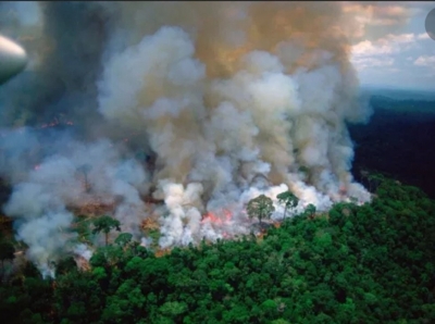 Países de la región en alerta por los incendios en el Amazonas