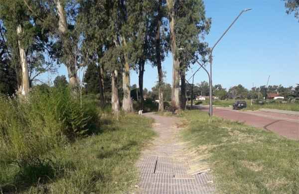 Aunque el Municipio corte parcialmente los pastos, el abandono del lugar cada vez es más evidente