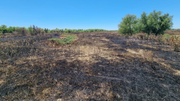Autoridades anunciaron el fin del incendio en Los Mástiles