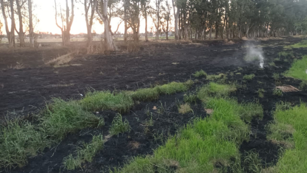 Ardieron parte de Predio Eva Perón y pastizales cercanos al corralón municipal de calle Vigil