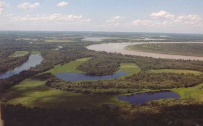El Senado de la Nación aprobó la primera Ley de Humedales del país