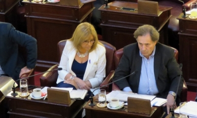 Giaccone acompañó con su voto importantes proyectos de Ley en la sesión ordinaria de diputados