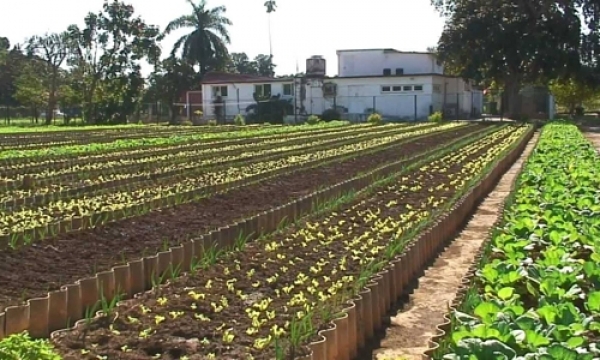 Se pone en marcha El Primer Complejo Agro Ecológico de la Región