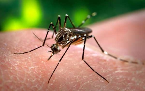 Charlas informativas sobre Dengue en vecinales baigorrienses