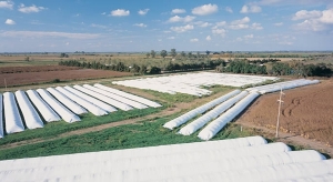 Los productores demoran la liquidación de divisas a la espera del 10 de diciembre