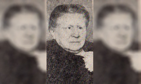 Imagen del libro El Espinillo de Plácido Grela