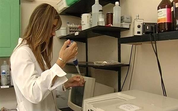 La Fundación NBSF abre la inscripción para su programa de becas universitarias