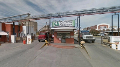 Celulosa Argentina se presentó en convocatoria de acreedores