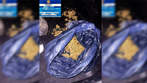 Detuvieron a una pareja con 250 cogollos de marihuana en un auto