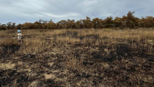 El Municipio montó una “guardia de cenizas” en las zonas afectadas