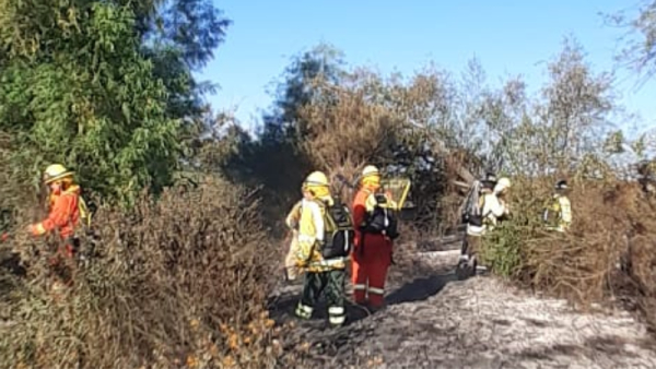 Personal municipal y bomberos de la ciudad evitaron un incendio en Los Mástiles
