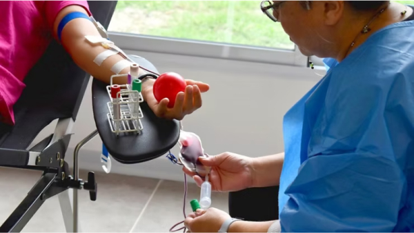 Nueva jornada de donación de sangre en el Concejo Municipal de Granadero Baigorria