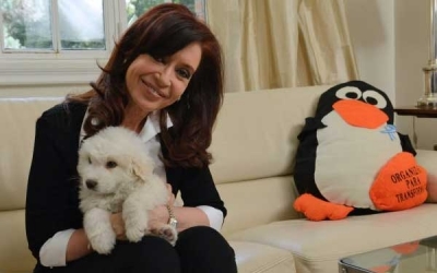 Cristina volvió y grabó un mensaje: "Les quiero agradecer a todos por su preocupación"