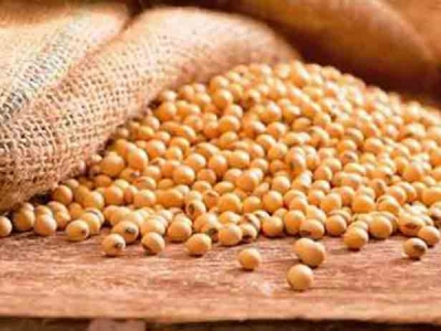 Las cerealeras se comprometieron a ingresar 2.000 millones de dólares