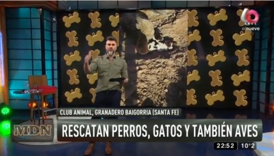 Club Animal pide la solidaridad de los vecinos