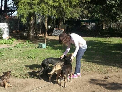 Demoran a tres personas por ocasionar disturbios en la protectora de animales en Baigorria