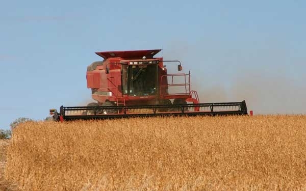 En una semana subió 74% la liquidación de granos