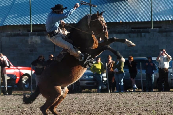 Un nene sufrió una grave lesión al ser golpeado por un caballo en un festival de doma