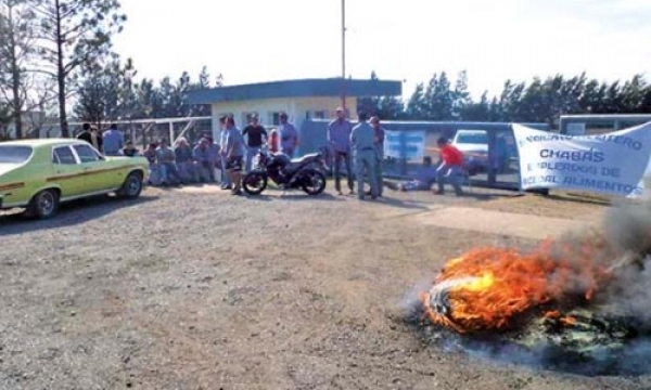 Sigue el conflicto en la aceitera de Chabás