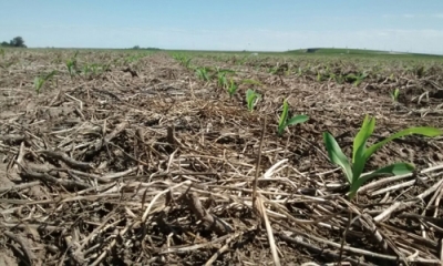 Comenzó la campaña de ventas de @AgroActiva con gran interés de los expositores