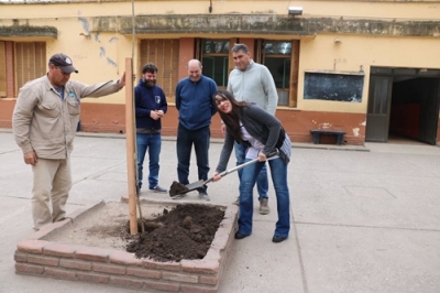 Baigorria: Un árbol a cada institución