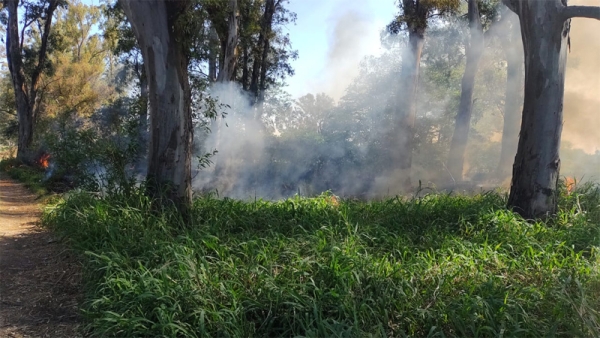 Incendio intencional en el predio Eva Perón