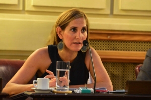 Proponen la creación del Sistema Provincial de botones antipánico y cámaras de vigilancia