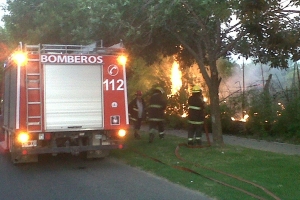 Ardió parte del cañaveral perimetral  de la Ciudad Deportiva 
