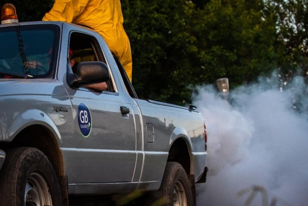 Dengue: el Municipio realiza tareas de prevención y renueva las recomendaciones