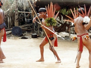 Indigenas brasileños advierten suicidio masivo si los despojan de sus tierras 