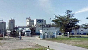 Sancor planea fuerte recorte
