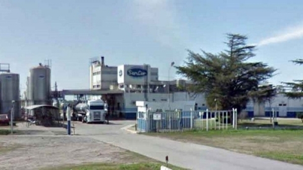 Sancor planea fuerte recorte