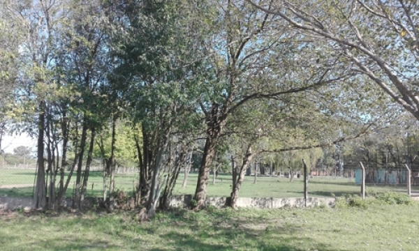 El EAS también objetó el reordenamiento de los terrenos del hospital