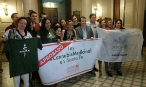 Cinco claves para entender la importancia de la ley de cannabis medicinal