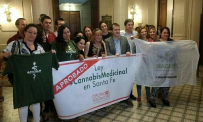 Cinco claves para entender la importancia de la ley de cannabis medicinal