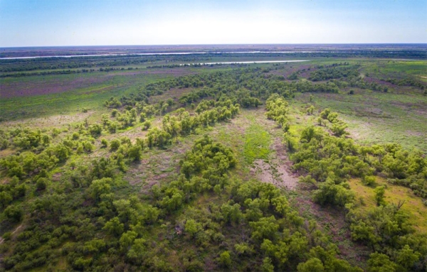 Realizarán una jornada para visibilizar y preservar reserva natural Isla de los Mástiles