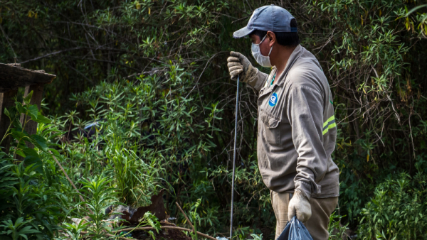 Convoca a una jornada comunitaria de limpieza y remada en la Isla de los Mástiles