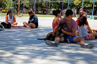 Se esterilizaron más de 700 mascotas en 2019