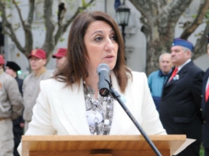 Fein: “El Concejo debe decidir cuándo se pone en vigencia”