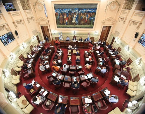 "Corregimos el impuestazo del gobierno en patentes"