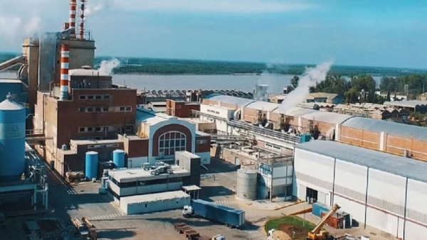 Pidieron la quiebra de Celulosa Argentina