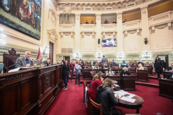 Diputados aprobó la creación del Registro de armas de fuego