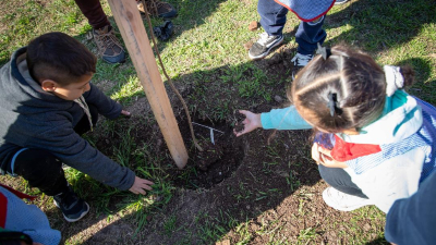 El Municipio y Global Communities impulsan acciones de forestación urbana con más de cien árboles nativos