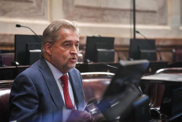 Mirabella: "Espero que algunos diputados dejen su mezquindad de lado y aprueben el proyecto de conectividad"