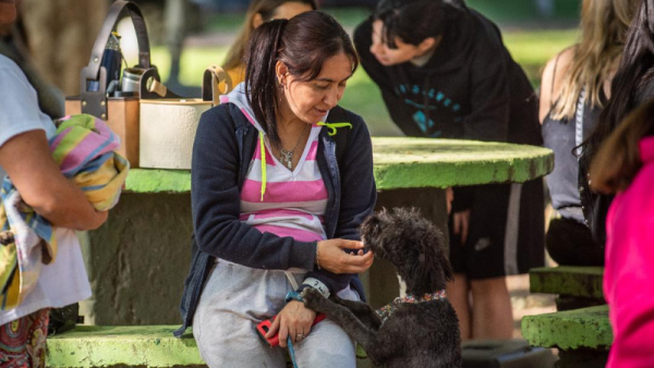 Durante 2024 la municipalidad de Baigorria esterilizó a más de 1000 mascotas