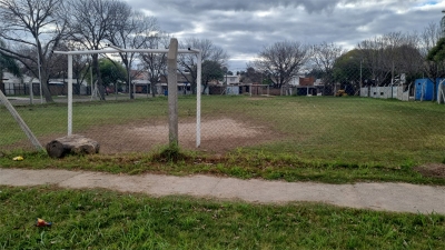 Desmienten que se hayan destruido espacios verdes de la ciudad