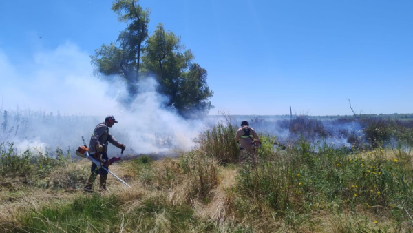 Personal del Municipio abre el camino de los bomberos para que puedan combatir las llamas en Los Mástiles